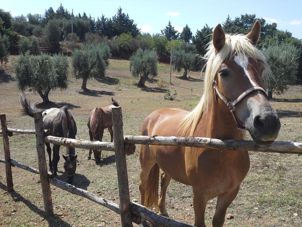 Agriturismo Terranova Pisticci Bagian luar foto